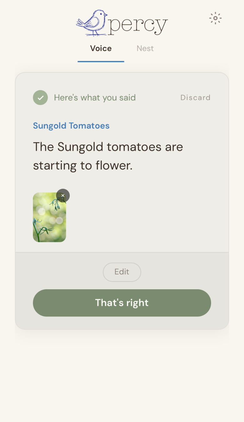 Percy confirms a Sungold Tomatoes observation with an attached photo