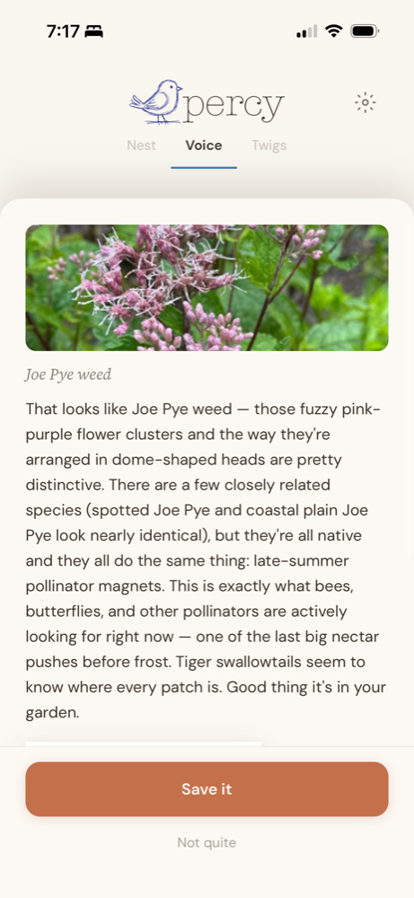 Percy identifying a photo of Joe Pye weed as a native late-summer pollinator magnet