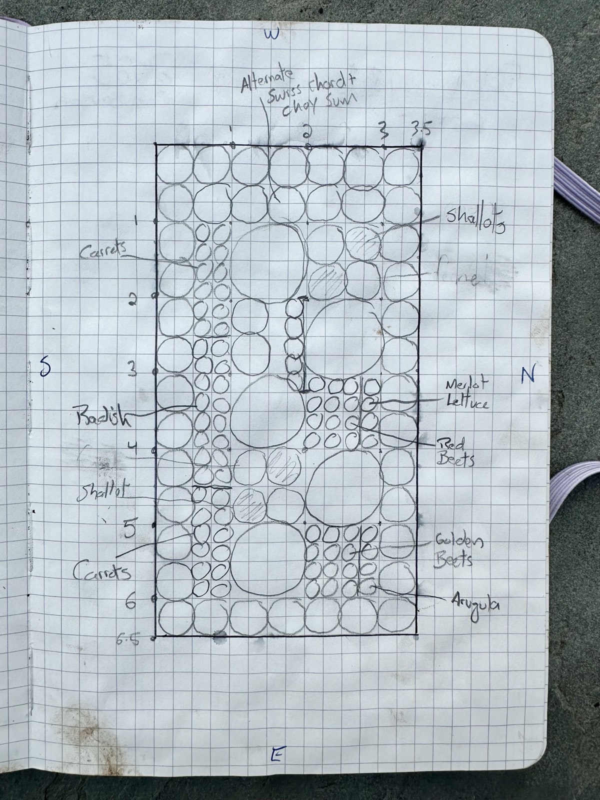 A carefully drawn spring planting grid on graph paper, measured in quarter-foot increments with N, S, E and W arrows, circles for each plant labeled shallots, carrots, radish, merlot lettuce, red and golden beets, and arugula
