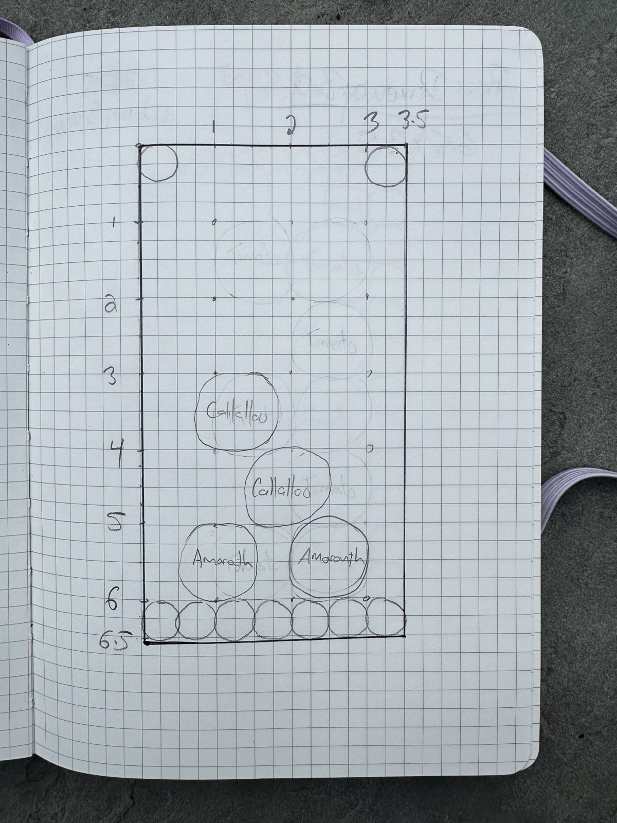 The summer planting page on graph paper, nearly empty: two circles labeled Callaloo, two labeled Amaranth, a faint erased ghost of two Tomato circles, a row of small circles along the bottom, and a great deal of blank space