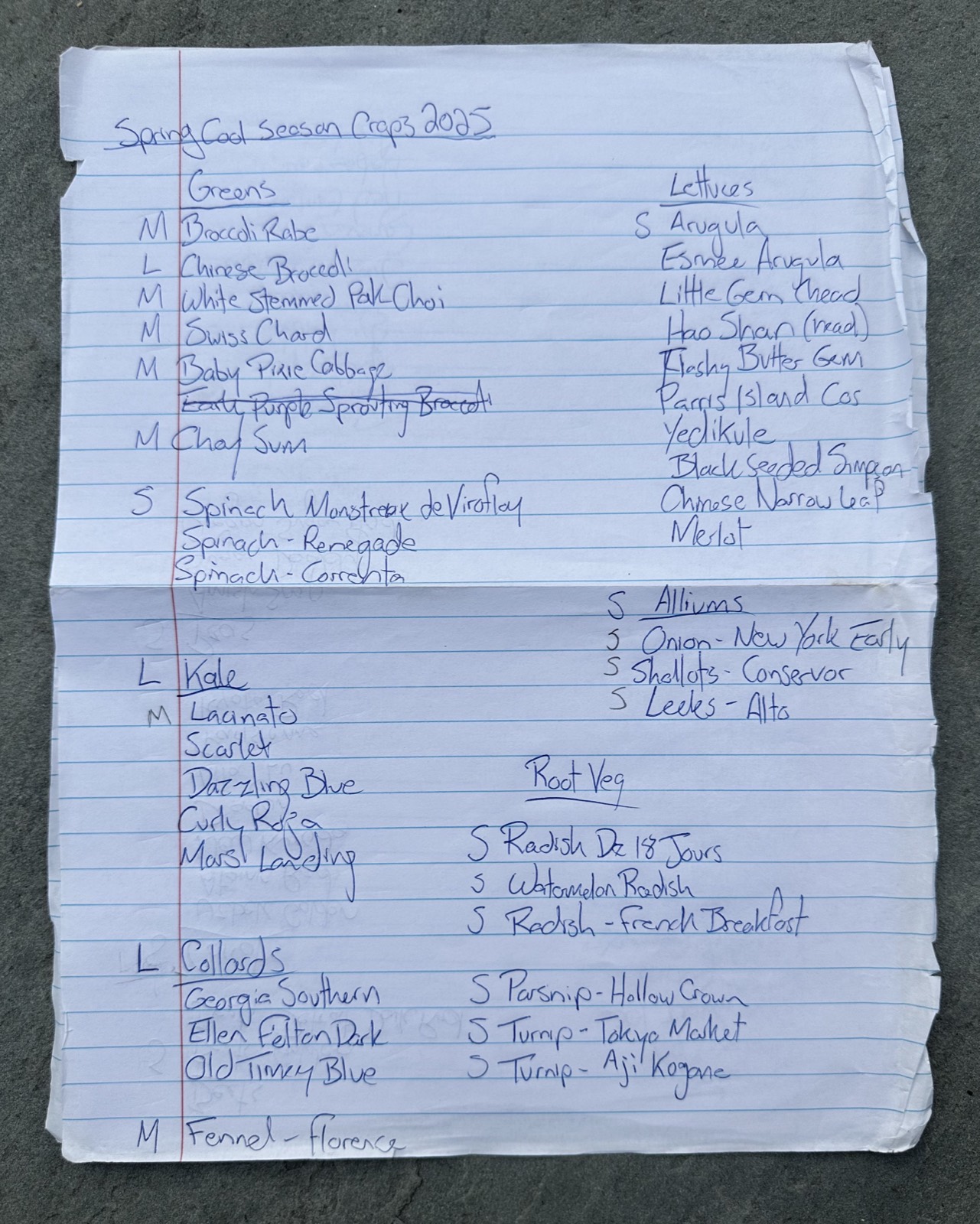 Two loose sheets of ruled looseleaf paper headed Spring Cool Season Crops 2025, densely handwritten with varieties grouped under Greens, Lettuces, Kale, Collards, Alliums and Root Veg