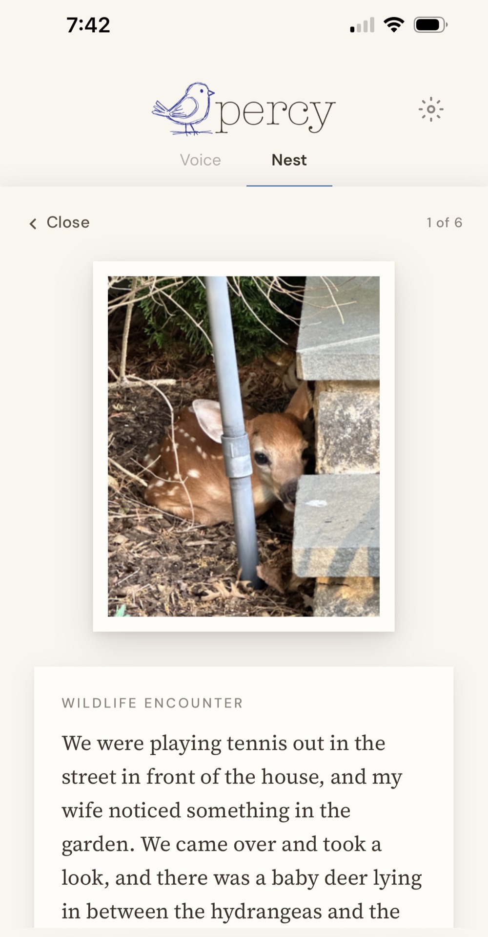 The Percy app's Nest view showing the saved deer entry — the fawn photo above a journal note titled Wildlife Encounter