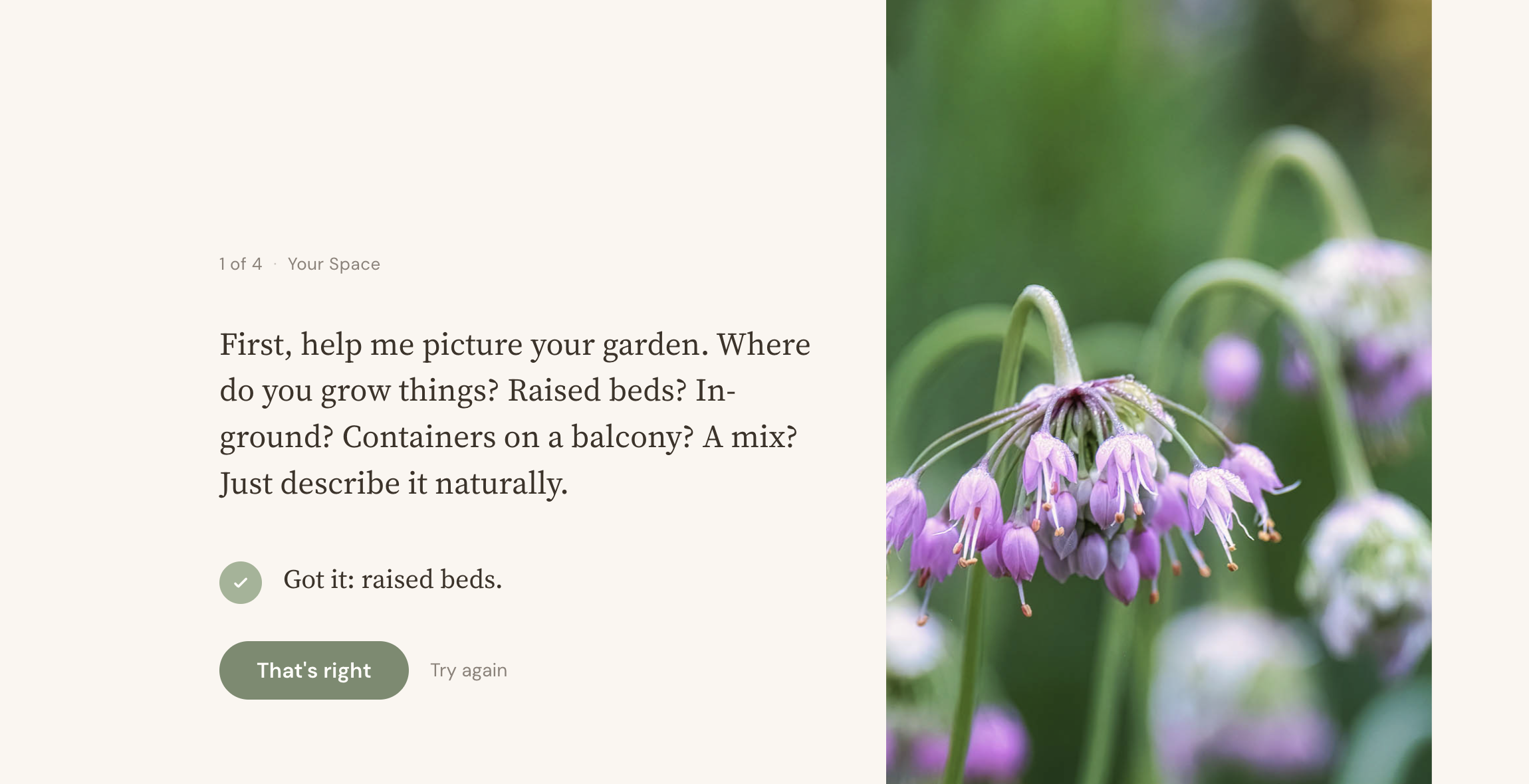 Percy confirmation and photo attachment