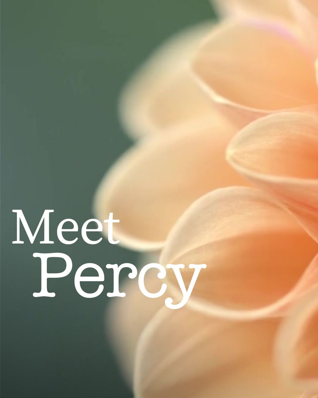 Meet Percy — voice-first garden journal