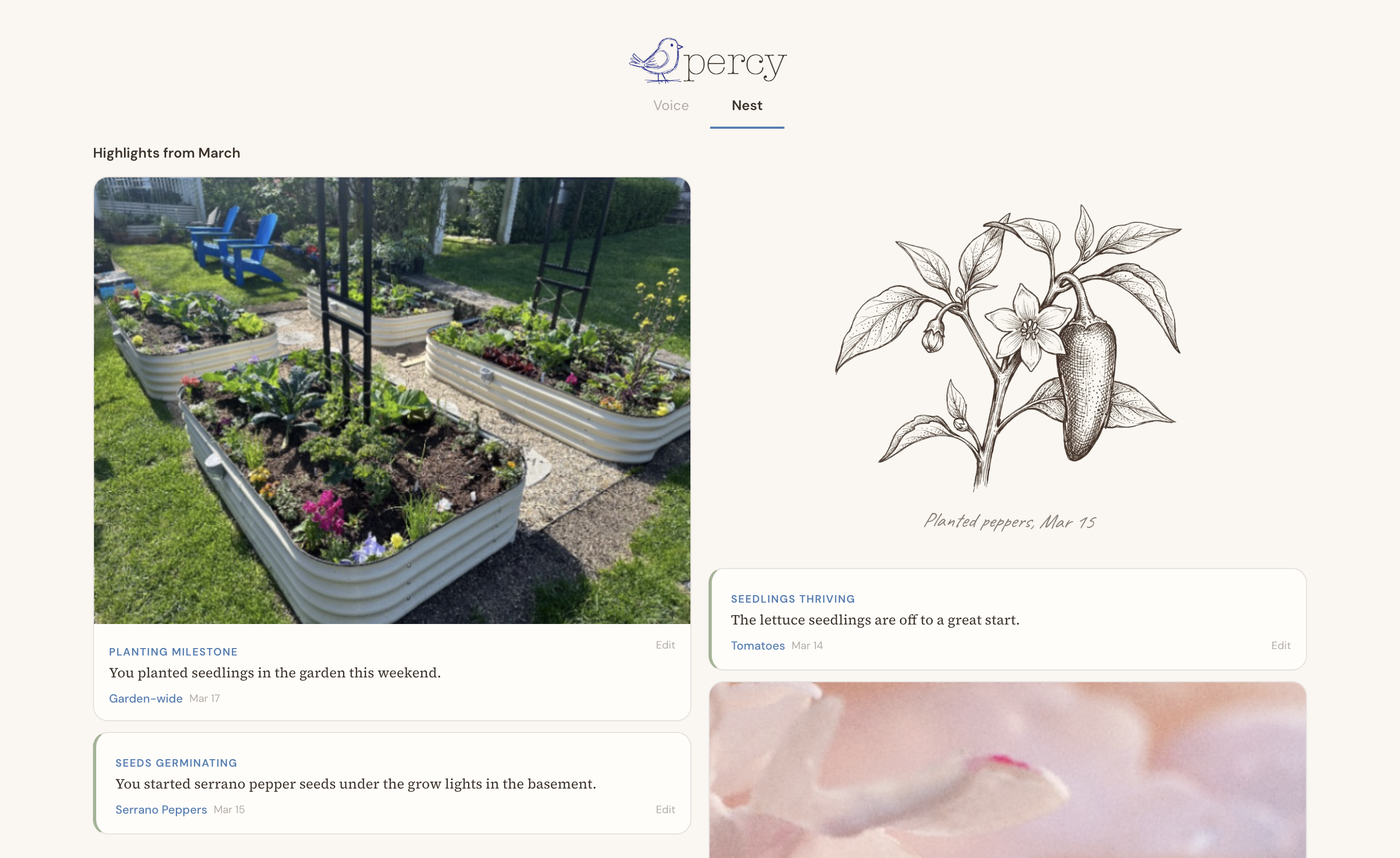 The Nest highlights — your garden moments with photos and illustrations