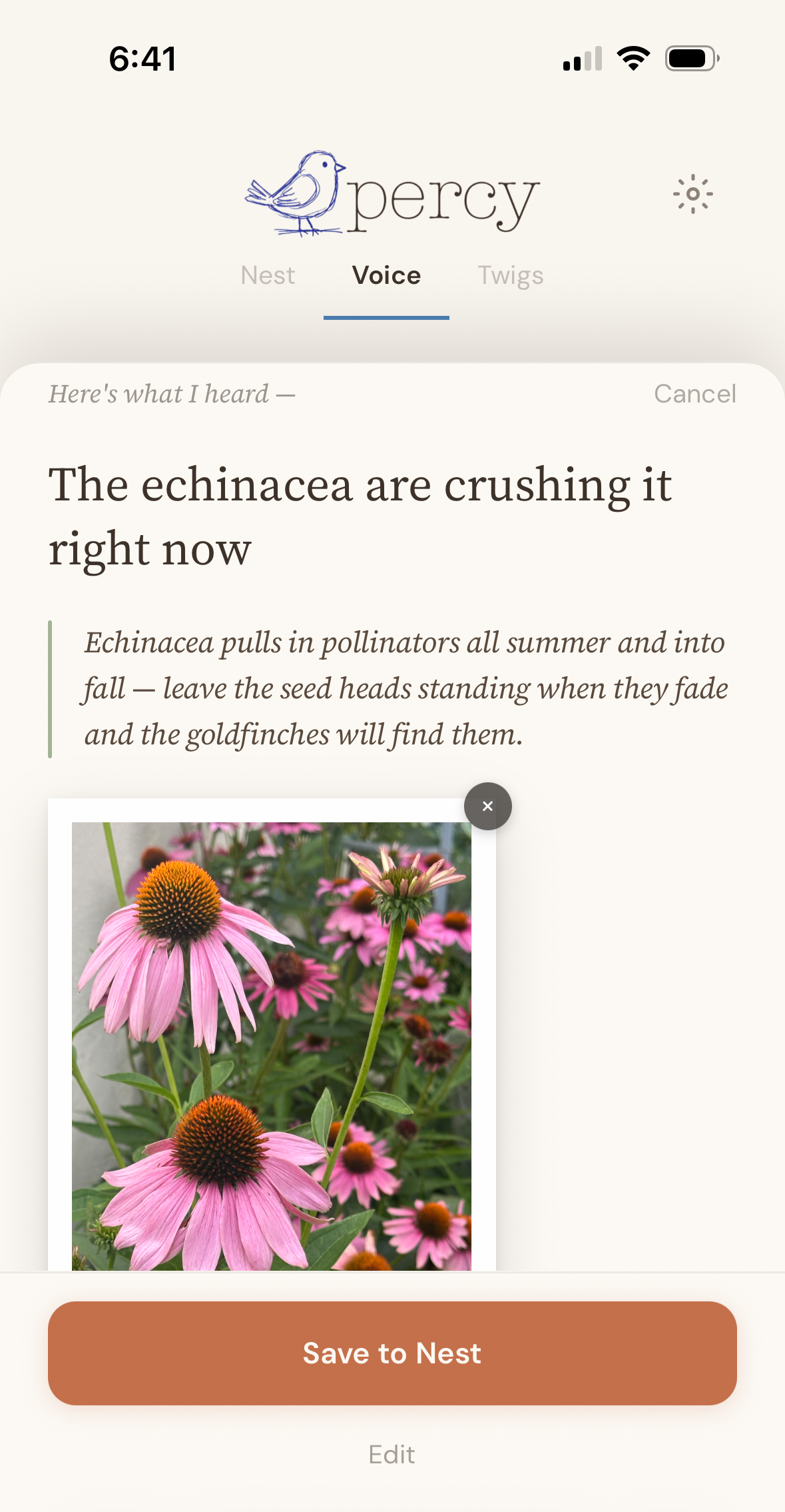 Percy responding to a note about echinacea — 'Echinacea pulls in pollinators all summer and into fall; leave the seed heads standing when they fade and the goldfinches will find them.'