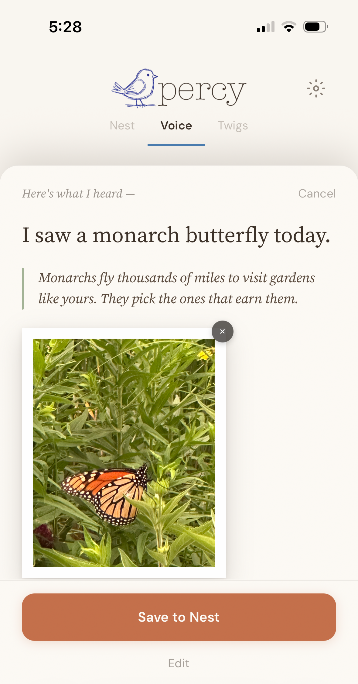 Percy responding to a note about seeing a monarch — 'Monarchs fly thousands of miles to visit gardens like yours. They pick the ones that earn them.'